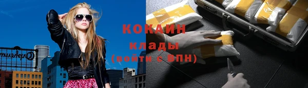 СК Пересвет